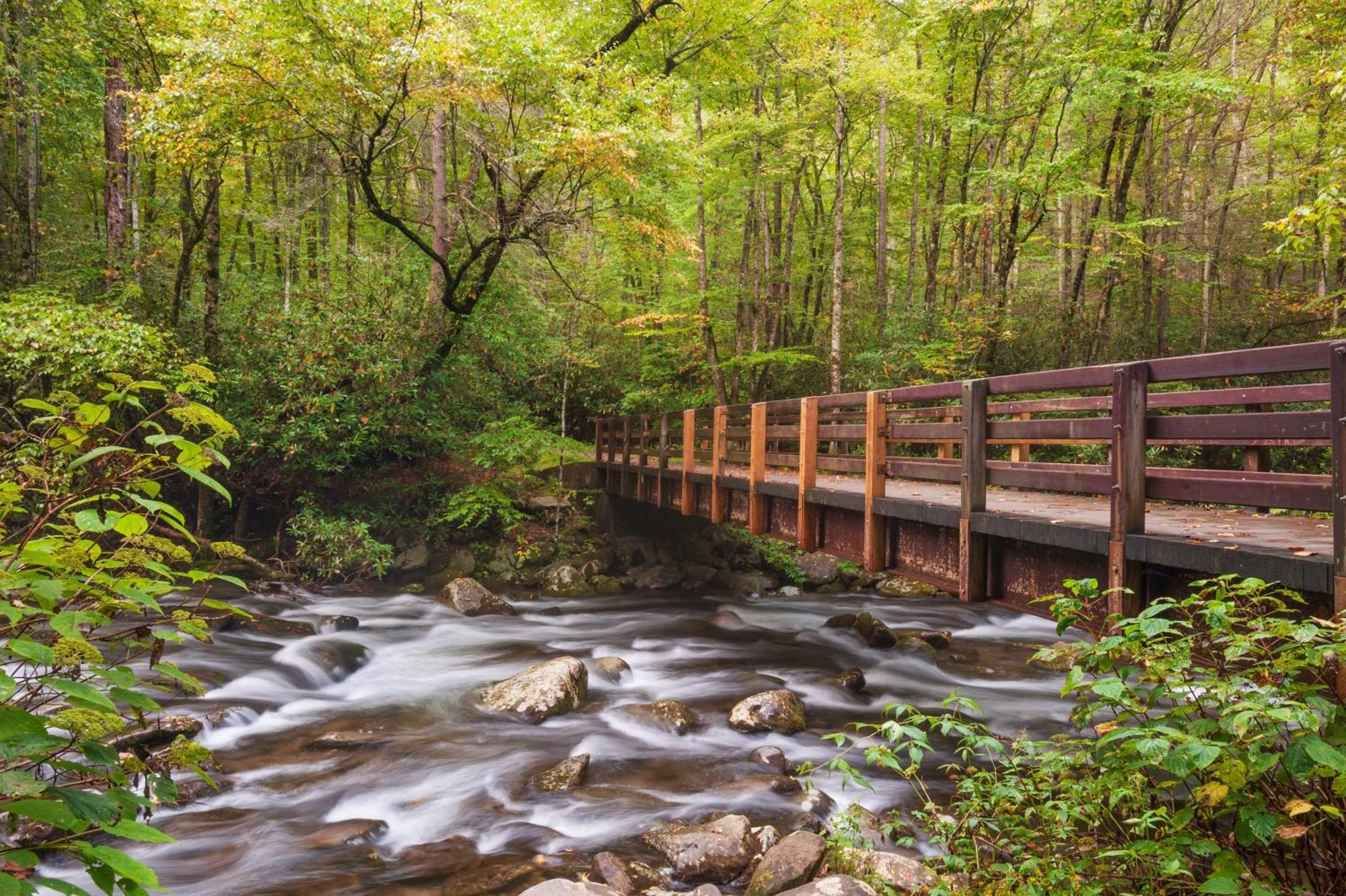 Alpine Joy-Hot Tub, Pond Access ,1089 Of Free Tickets For Each Paid Day, Dollywood And More! Таунсенд Экстерьер фото