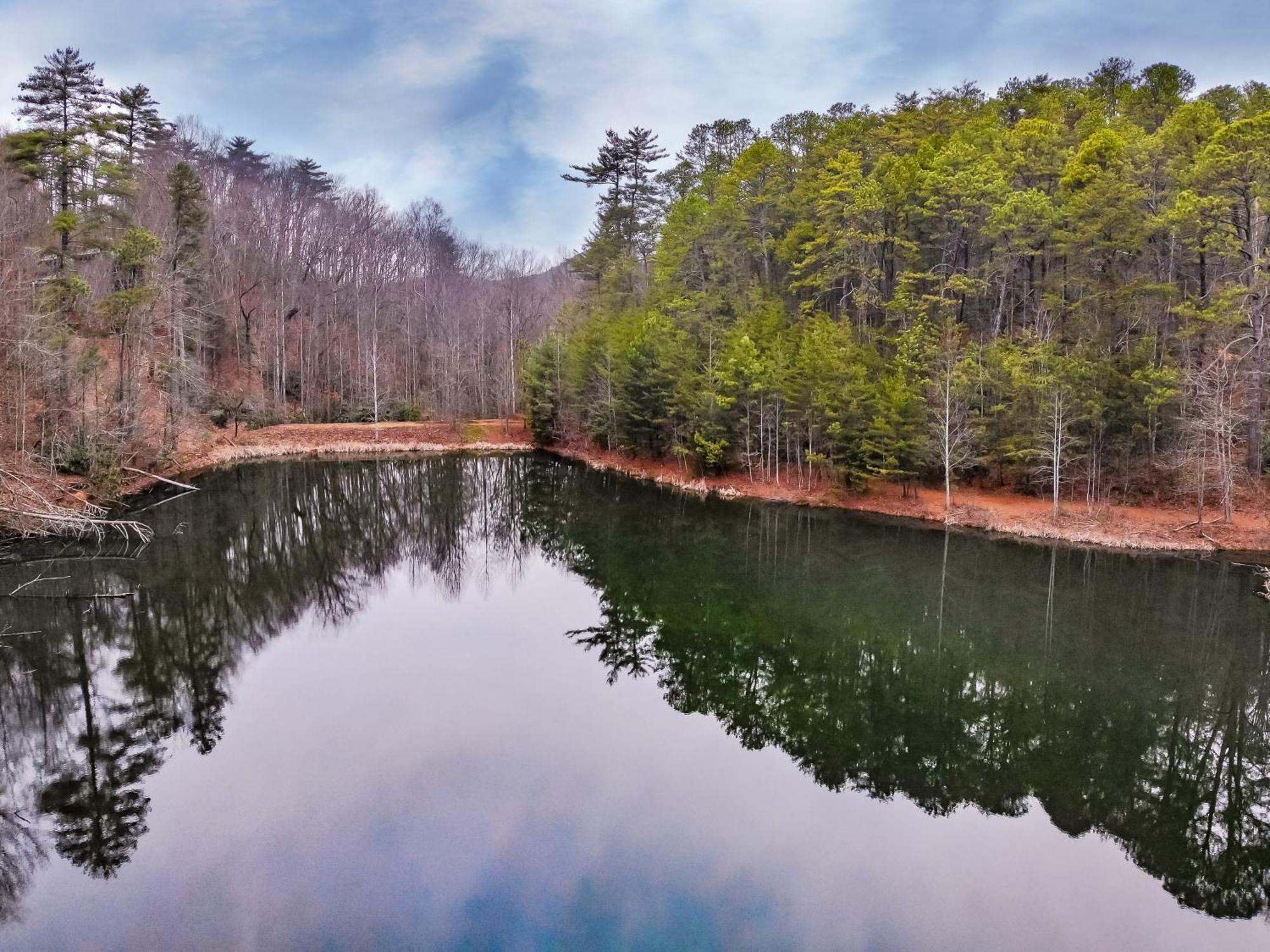Alpine Joy-Hot Tub, Pond Access ,1089 Of Free Tickets For Each Paid Day, Dollywood And More! Таунсенд Номер фото