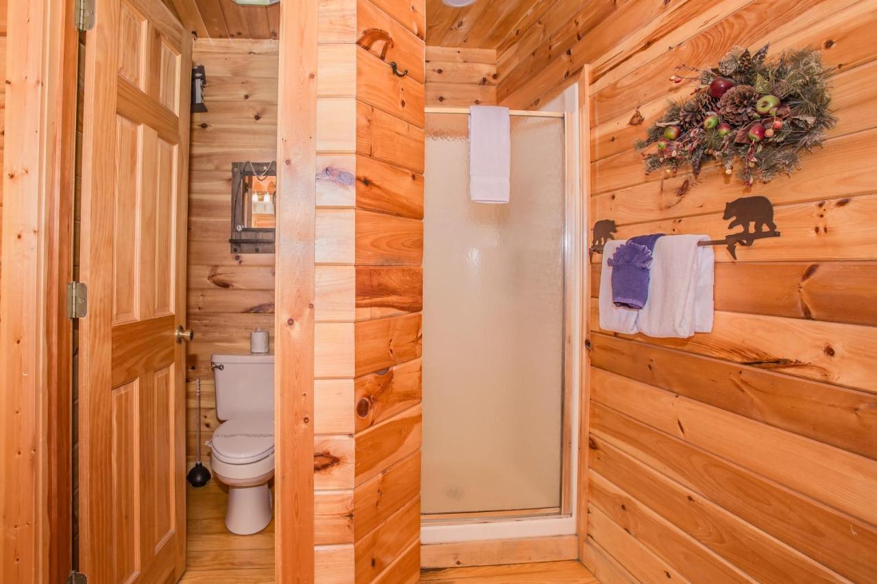 Alpine Joy-Hot Tub, Pond Access ,1089 Of Free Tickets For Each Paid Day, Dollywood And More! Таунсенд Экстерьер фото