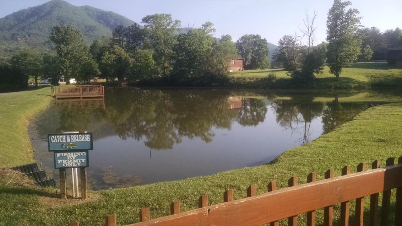 Alpine Joy-Hot Tub, Pond Access ,1089 Of Free Tickets For Each Paid Day, Dollywood And More! Таунсенд Экстерьер фото